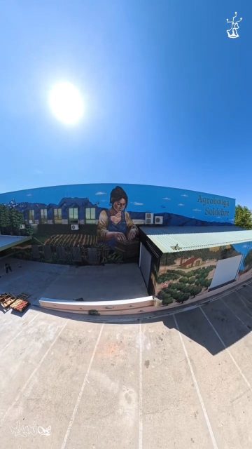De la mano de la @suite_of_art , hemos dado vida a la fachada de la cooperativa @cooperativasoldebre , una cooperativa con solera en @ajuntamentdetortosa ,
Esta Cooperativa es el resultado de la fusión de 3 cooperativas de la zona de Tortosa. Fue la primera fusión de cooperativas de Cataluña, realizada en el año de 1995. Posteriormente, se produce la fusión por absorción de otras 2 cooperativas, que ha significado un nuevo impulso de crecimiento de la masa social.
En la actualidad SOLDEBRE SCCL, consta de 7 secciones para atender las necesidades de los socios:
sección de almazara
sección de cítricos
sección de frutos secos
sección de suministros
sección de crédito
carburantes
agrotienda
Además cuenta actualmente con una empresa dedicada a las labores agrícolas de las fincas de los socios y de la propia entidad.
SOLDEBRE SCCL tiene 40 empleados todo el año y unas 300 personas en la época de campaña.
En la actualidad más de 1400 socios componen la base social de la entidad
Espero que os guste el resultado,
Vareando olivos @nauni69 @danklabara @deryoneart