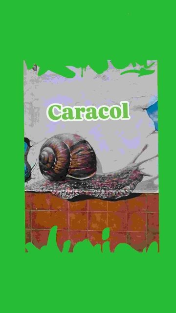 Caracol
🧱Plaça Vicente Alcober Coloma, 6, Quatre Carreres, València🧱