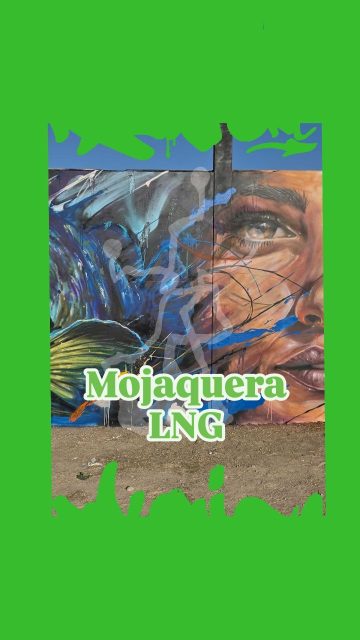 Esta es mi aportación a la @liganacionaldegraffiti en @mojacarinformando un pequeño homenaje a la mojaquera , que tenía tanto arraigo com su tierra y al igual que el mero es defensora de ella, espero que os guste!!
🧱Campo de futbol de Mojácar 🧱
#mojacar
#mojaquera
#liganacionaldegraffiti
#mtn
#nauni69